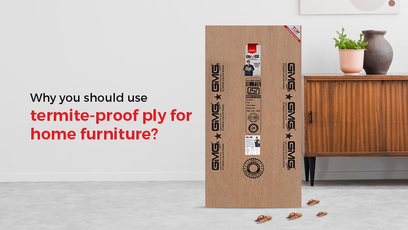 Why you should use termite-proof ply for home furniture?